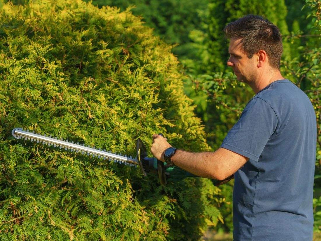Landscaper trimming a hedge