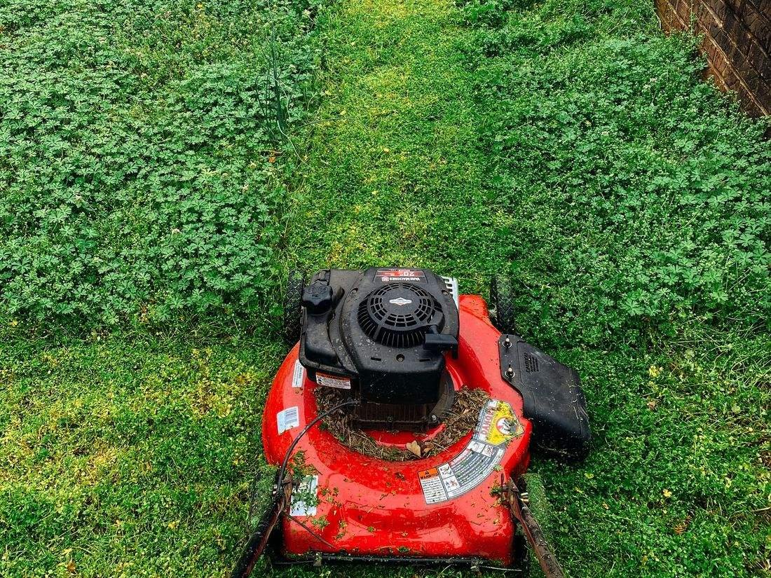 Lawn mower on a freshly cut residential lawn