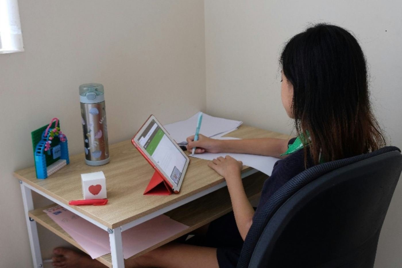 Back-office invoicing and reporting for a pest control company